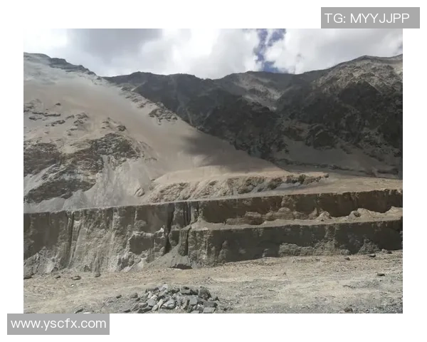 深度对话刘芳分享她在和平精英中的成长与挑战之路